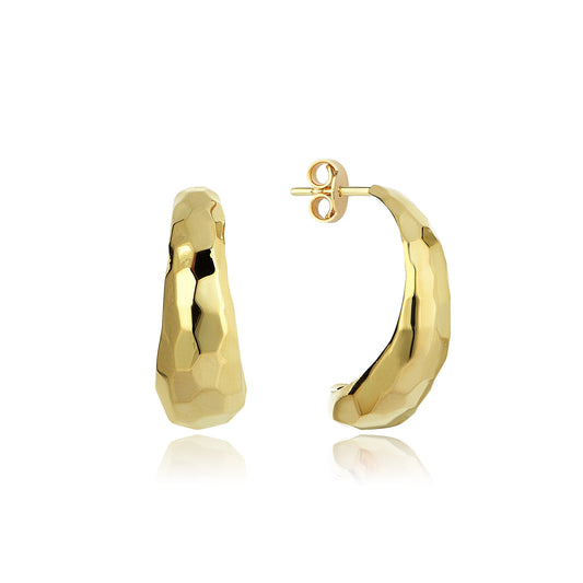 Snake Hoops Earrings